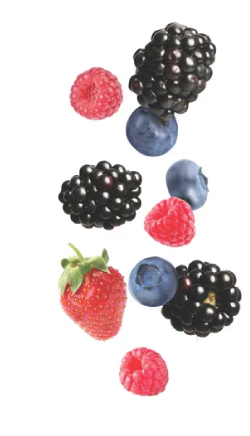 berries wholesale in california