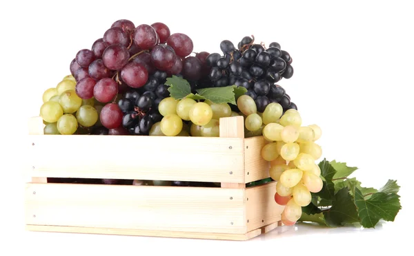 <a href="https://valleypackinginc.com/valley-packing-grapes">Grapes</a> supplier in california united states