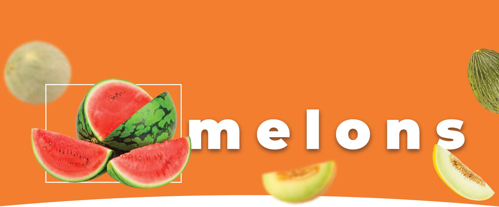 <a href="https://valleypackinginc.com/melons">Melons</a> produce in california united states