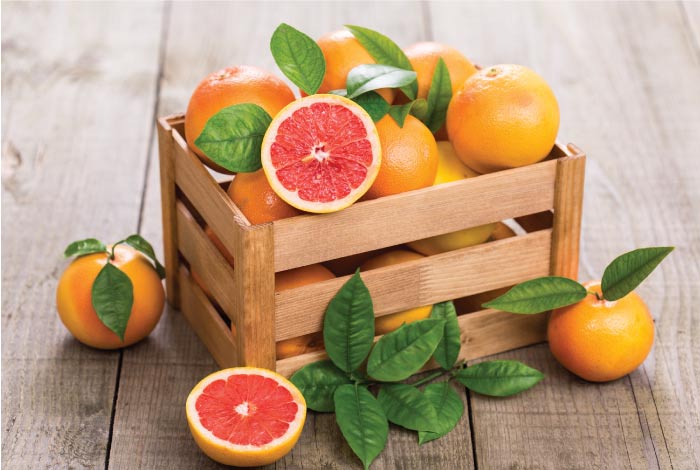 <a href="https://valleypackinginc.com/valley-packing-citrus">Citrus</a> supplier in california united states